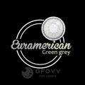 Ofovv Eye Circle Lens Euramerican Green-Grey Colored Contact Lenses V6044£¨1 YEAR£©