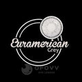 Ofovv Eye Circle Lens Euramerican Grey Colored Contact Lenses V6045£¨1 YEAR£©