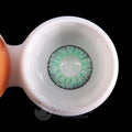 Ofovv Eye Circle Lens Floweriness Green Colored Contact Lenses V6051£¨1 YEAR£©