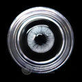 Ofovv Eye Circle Lens HD Grey Colored Contact Lenses V6074£¨1 YEAR£©