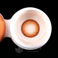 Ofovv Eye Circle Lens Lily Brown Toric Colored Contact Lenses V6079£¨1 YEAR£©