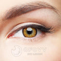 Ofovv Eye Circle Lens Mystery Yellow Colored Contact Lenses V6098£¨1 YEAR£©