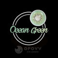 Ofovv Eye Circle Lens Ocean Green Colored Contact Lenses V6102£¨1 YEAR£©