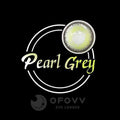 Ofovv Eye Circle Lens Pearl Grey Colored Contact Lenses V6104£¨1 YEAR£©