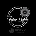 Ofovv Eye Circle Lens Polar Lights Grey Colored Contact Lenses V6111£¨1 YEAR£©