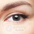 Ofovv Eye Circle Lens Polar Lights Grey II Colored Contact Lenses V6112£¨1 YEAR£©