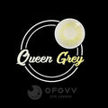 Ofovv Eye Circle Lens Queen Grey Colored Contact Lenses V6118£¨1 YEAR£©