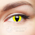 Ofovv Eye Circle Lens Reptile Glow Colored Contact Lenses V6125£¨1 YEAR£©