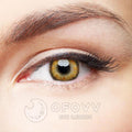 Ofovv Eye Circle Lens Radial Brown Colored Contact Lenses V6147£¨1 YEAR£©