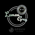 Ofovv Eye Circle Lens Lemon Grey Colored Contact Lenses V6189£¨1 YEAR£©